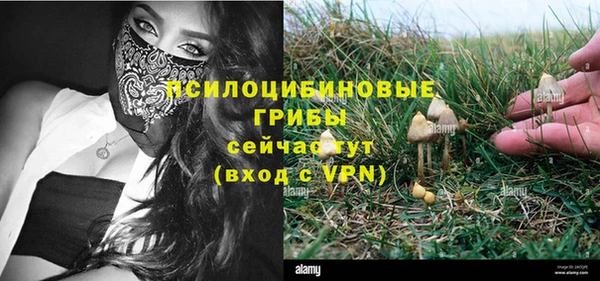 дживик Абаза