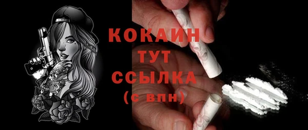 дживик Абаза